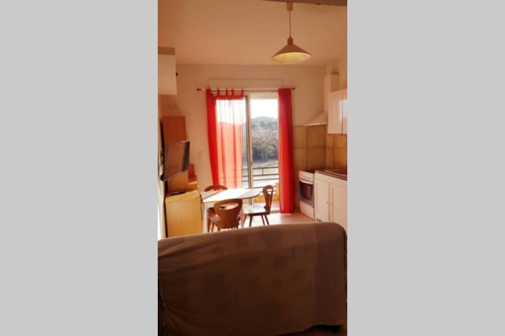 Roquebrun Joli Appartement, Terrasse Plein Sud מראה חיצוני תמונה